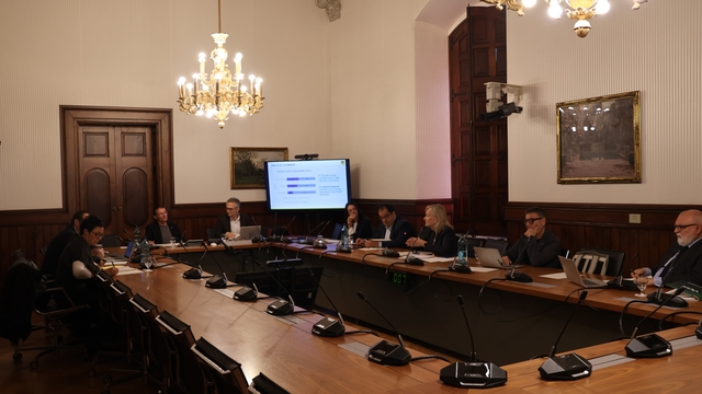 Imatge representativa de la galeria d'images
