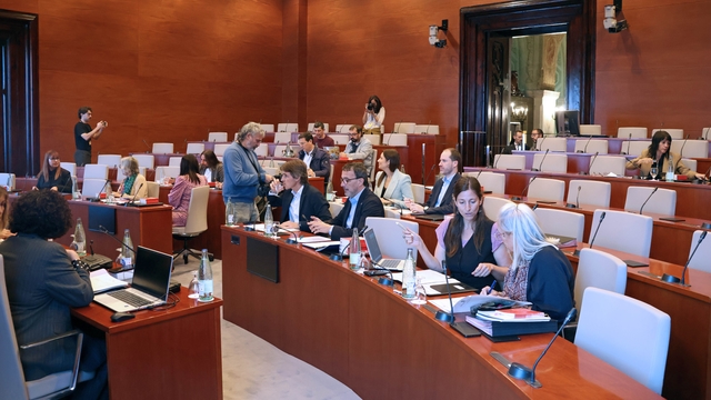 Imatge representativa de la galeria d'images