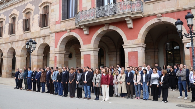 Imatge representativa de la galeria d'images